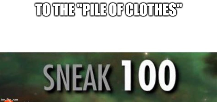 Stealth 100 Skyrim | TO THE "PILE OF CLOTHES" | image tagged in stealth 100 skyrim | made w/ Imgflip meme maker