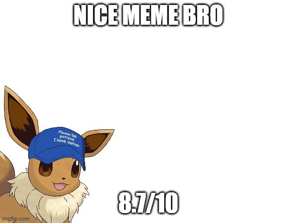 NICE MEME BRO 8.7/10 | made w/ Imgflip meme maker