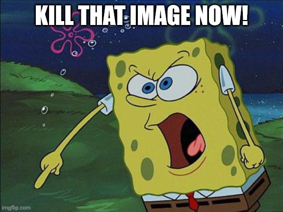 spongebob | KILL THAT IMAGE NOW! | image tagged in spongebob | made w/ Imgflip meme maker