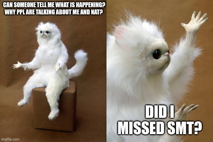 Persian Cat Room Guardian Meme | CAN SOMEONE TELL ME WHAT IS HAPPENING? WHY PPL ARE TALKING ABOUT ME AND NAT? DID I MISSED SMT? | image tagged in memes,persian cat room guardian | made w/ Imgflip meme maker
