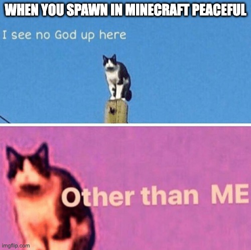 You in Minecraft | WHEN YOU SPAWN IN MINECRAFT PEACEFUL | image tagged in hail pole cat | made w/ Imgflip meme maker