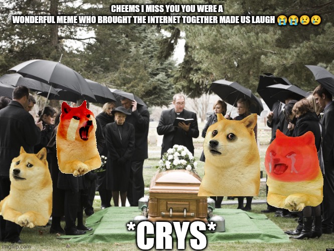 Cheems our wonderful meme has died | CHEEMS I MISS YOU YOU WERE A WONDERFUL MEME WHO BROUGHT THE INTERNET TOGETHER MADE US LAUGH 😭😭😢😢; *CRYS* | image tagged in funeral | made w/ Imgflip meme maker