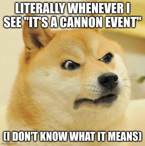 its me | LITERALLY WHENEVER I SEE "IT'S A CANNON EVENT"; (I DON'T KNOW WHAT IT MEANS) | image tagged in confused angery doge | made w/ Imgflip meme maker