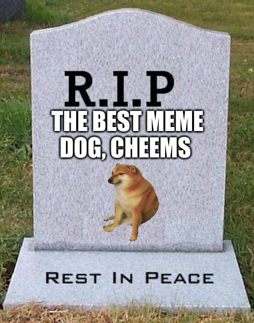 RIP headstone | THE BEST MEME DOG, CHEEMS | image tagged in rip headstone | made w/ Imgflip meme maker
