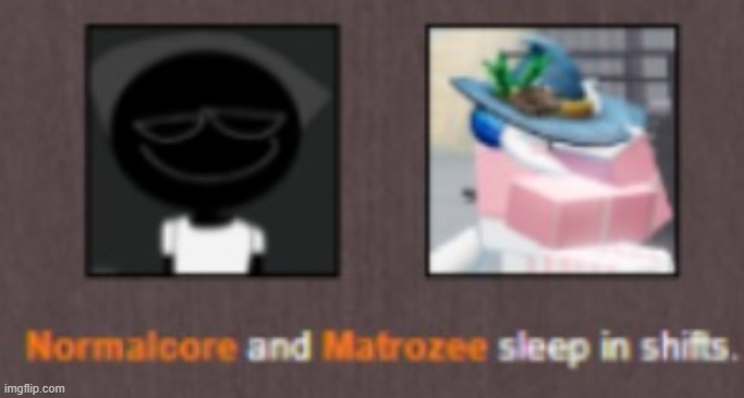 normalcore and matrozee sleep in shifts | image tagged in normalcore and matrozee sleep in shifts | made w/ Imgflip meme maker
