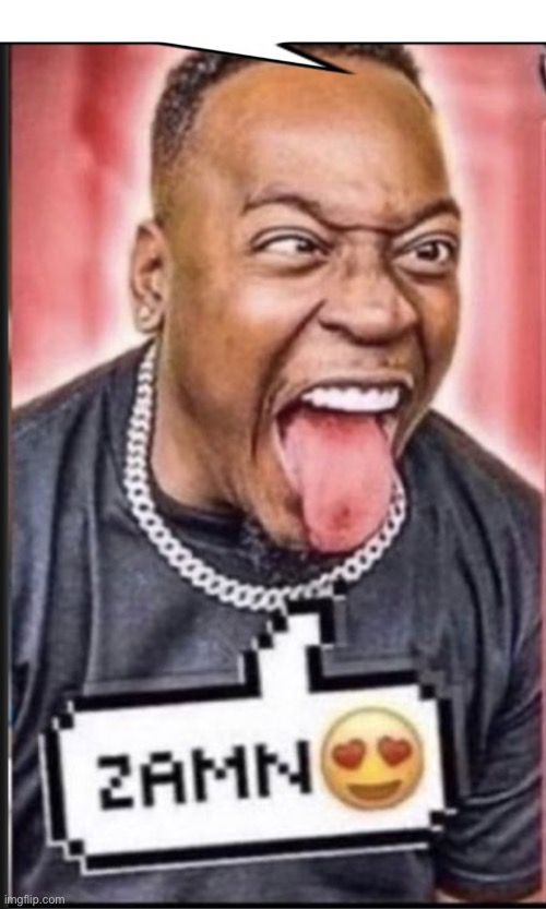 image tagged in zamn | made w/ Imgflip meme maker