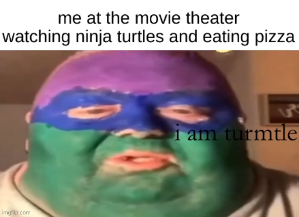 turmtle | image tagged in tmnt | made w/ Imgflip meme maker