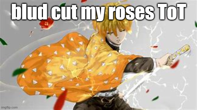 i fell off my *lofted* bed | blud cut my roses ToT | image tagged in nuinuinuibyyubvtyhjbjbyu | made w/ Imgflip meme maker