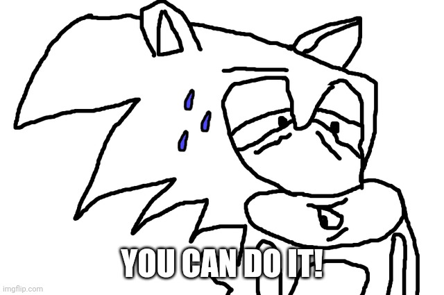 Cursed Sonic | YOU CAN DO IT! | image tagged in cursed sonic | made w/ Imgflip meme maker