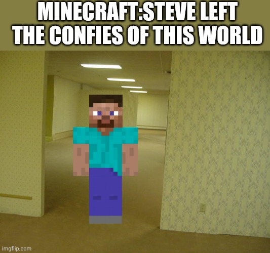 The Backrooms | MINECRAFT:STEVE LEFT THE CONFIES OF THIS WORLD | image tagged in the backrooms | made w/ Imgflip meme maker