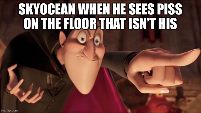 Yes | SKYOCEAN WHEN HE SEES PISS ON THE FLOOR THAT ISN’T HIS | image tagged in hotel transylvania dracula pointing meme | made w/ Imgflip meme maker