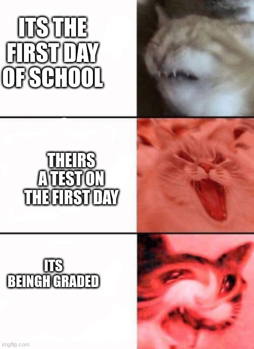 Crying cats | ITS THE FIRST DAY OF SCHOOL; THEIRS A TEST ON THE FIRST DAY; ITS BEINGH GRADED | image tagged in crying cats | made w/ Imgflip meme maker