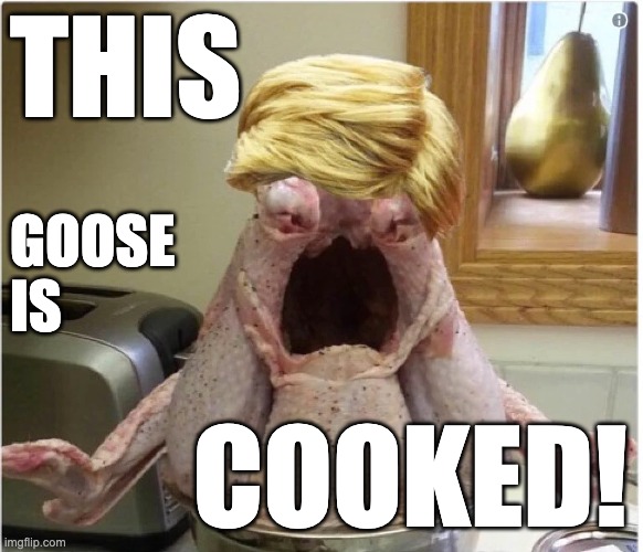 This Goose Is Cooked | THIS; GOOSE
IS; COOKED! | image tagged in trump,donald trump,done,cooked,surrender,arrested | made w/ Imgflip meme maker