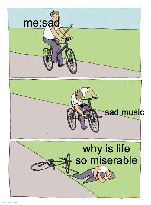 Bike Fall | me:sad; sad music; why is life so miserable | image tagged in memes,bike fall | made w/ Imgflip meme maker
