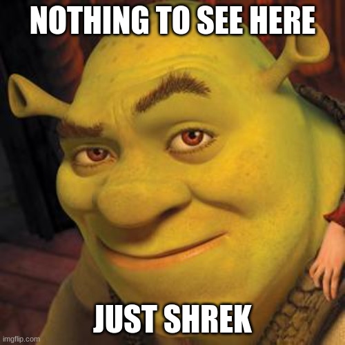 shrek | NOTHING TO SEE HERE; JUST SHREK | image tagged in shrek sexy face | made w/ Imgflip meme maker