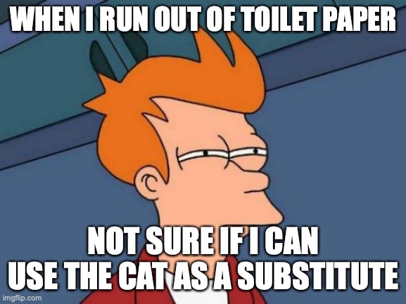 Futurama Fry | WHEN I RUN OUT OF TOILET PAPER; NOT SURE IF I CAN USE THE CAT AS A SUBSTITUTE | image tagged in memes,futurama fry | made w/ Imgflip meme maker