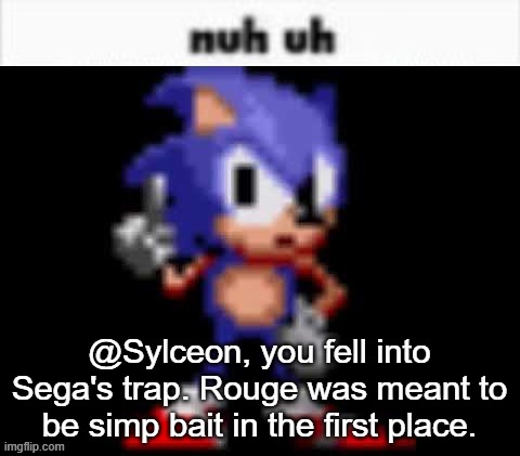 CD Sonic Nuh Uh | @Sylceon, you fell into Sega's trap. Rouge was meant to be simp bait in the first place. | image tagged in cd sonic nuh uh | made w/ Imgflip meme maker