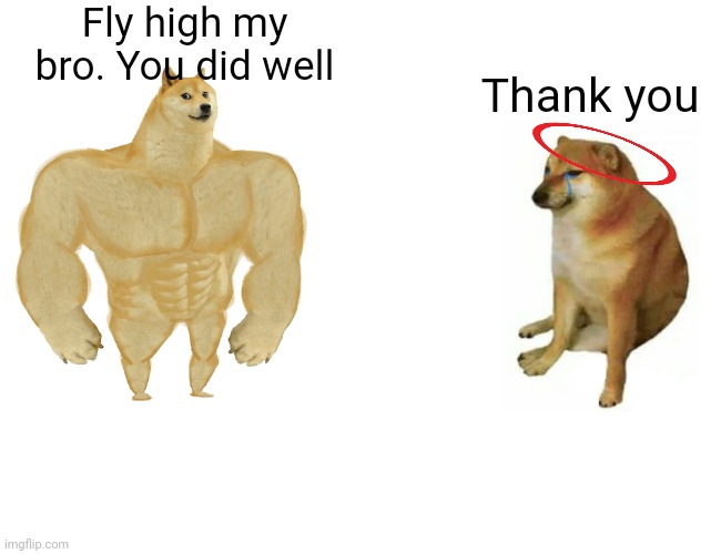 Buff Doge vs. Cheems Meme | Fly high my bro. You did well Thank you | image tagged in memes,buff doge vs cheems | made w/ Imgflip meme maker