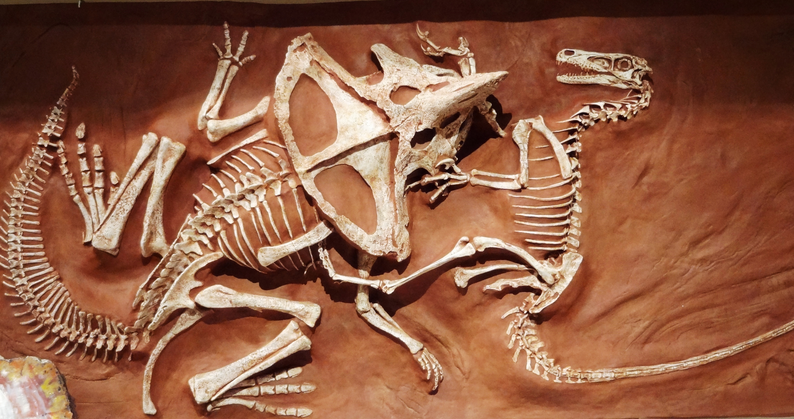 Velociraptor vs Protoceratops Blank Meme Template