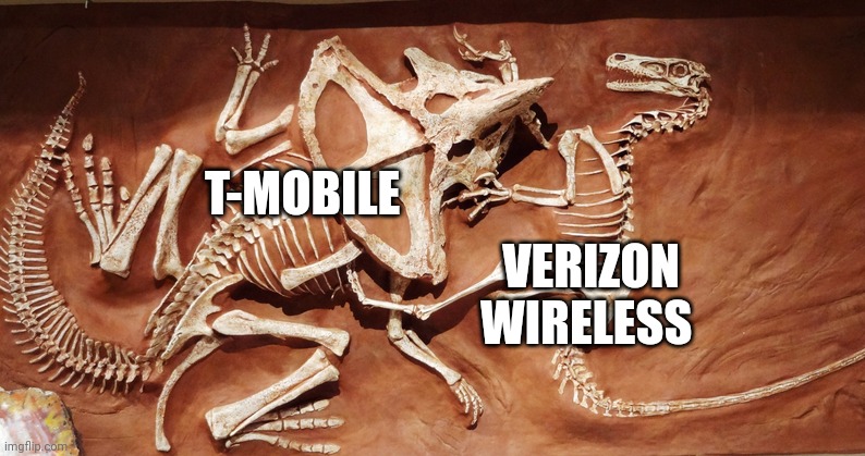 T-Mobile vs Verizon wireless | T-MOBILE; VERIZON WIRELESS | image tagged in velociraptor vs protoceratops | made w/ Imgflip meme maker