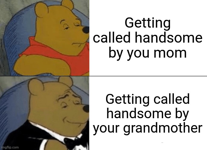 Tuxedo Winnie The Pooh | Getting called handsome by you mom; Getting called handsome by your grandmother | image tagged in memes,tuxedo winnie the pooh | made w/ Imgflip meme maker