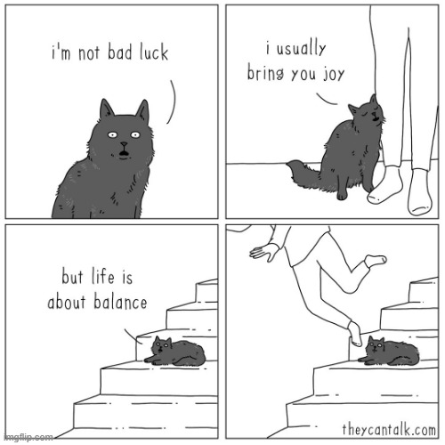 It's settled: I'm not getting that specific cat x_x | made w/ Imgflip meme maker
