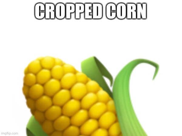 You know | CROPPED CORN | made w/ Imgflip meme maker