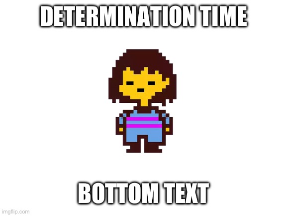 Frisk | DETERMINATION TIME; BOTTOM TEXT | image tagged in blank white template | made w/ Imgflip meme maker
