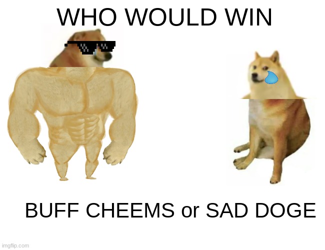 Buff Doge vs. Cheems | WHO WOULD WIN; BUFF CHEEMS or SAD DOGE | image tagged in memes,buff doge vs cheems | made w/ Imgflip meme maker