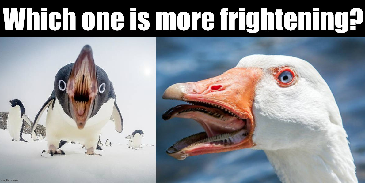 Which one is more frightening? | made w/ Imgflip meme maker