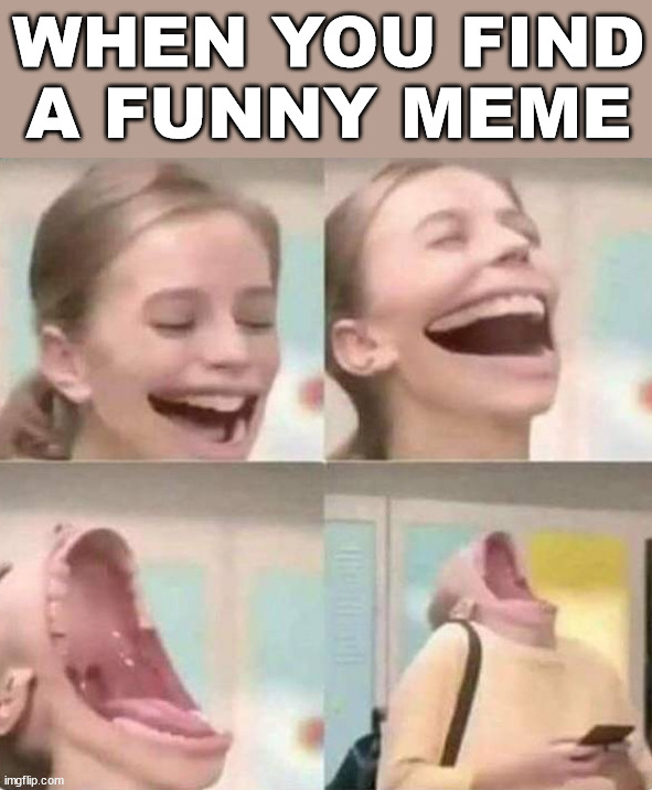 WHEN YOU FIND A FUNNY MEME | made w/ Imgflip meme maker