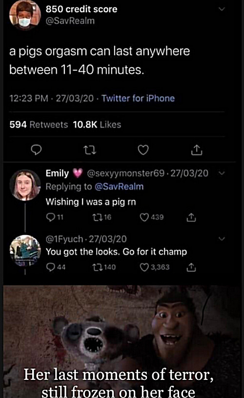 Oopsy. Piggy poopy. | image tagged in memes,pigs,looks,texts | made w/ Imgflip meme maker