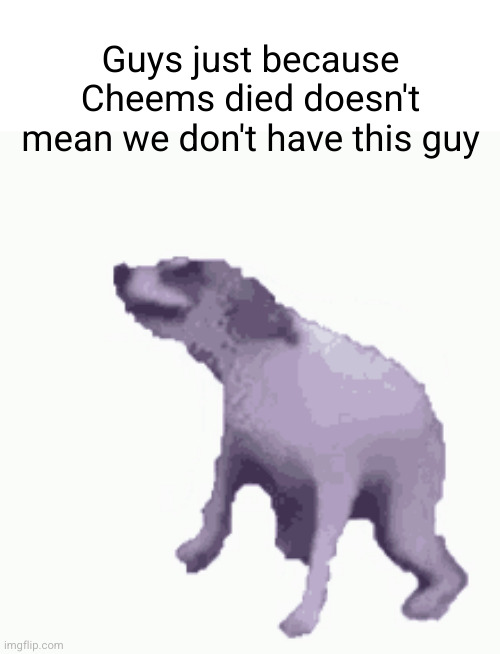 THE DANCING DOG FR | Guys just because Cheems died doesn't mean we don't have this guy | image tagged in dancing dog gif,cheems,never forget,funny,true,dog | made w/ Imgflip meme maker