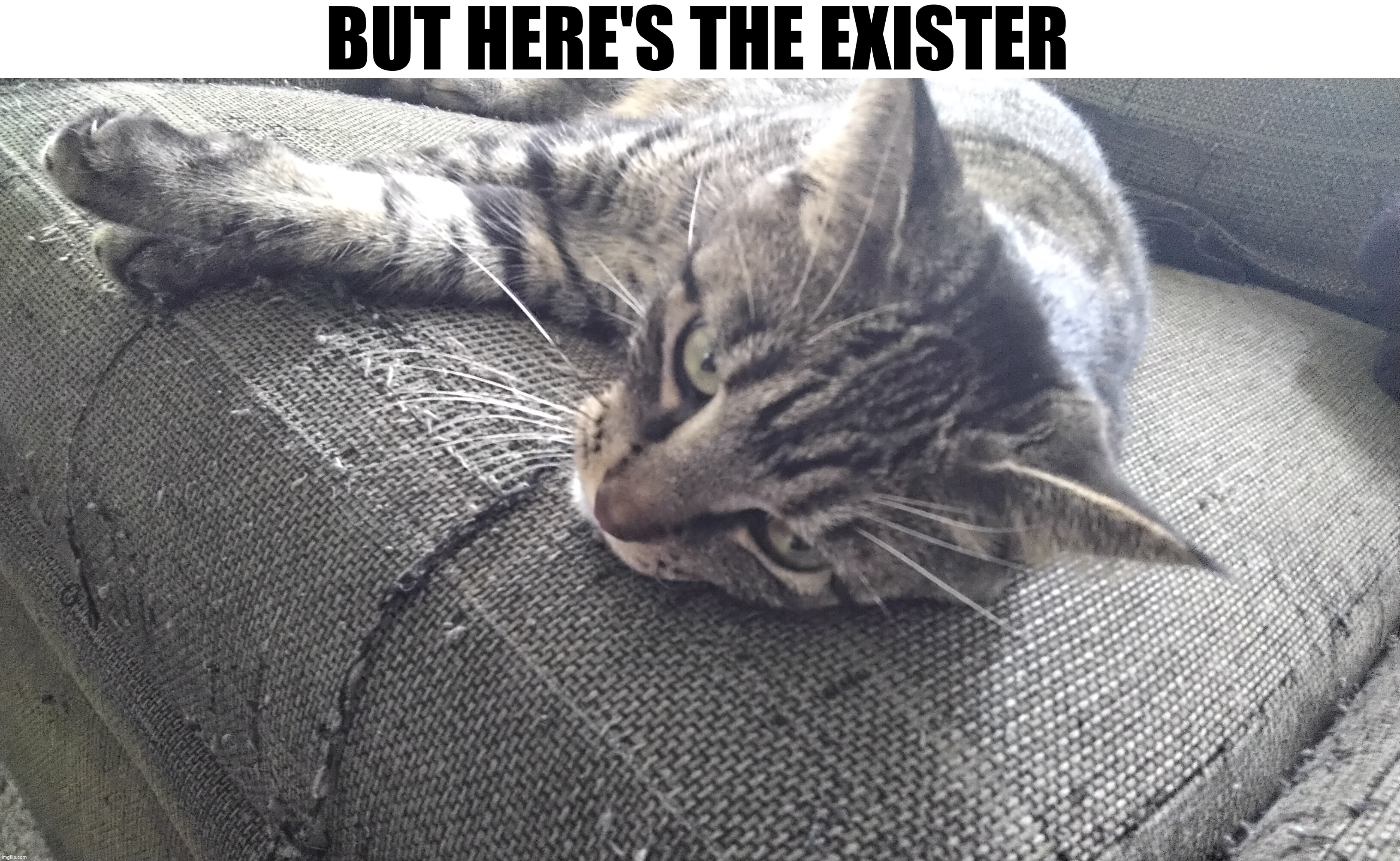Exister | BUT HERE'S THE EXISTER | made w/ Imgflip meme maker