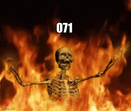 Skeleton Burning In Hell | 071 | image tagged in skeleton burning in hell | made w/ Imgflip meme maker