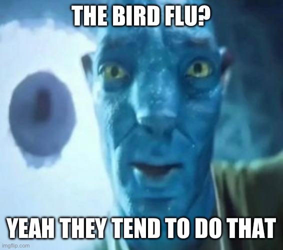 Avatar guy | THE BIRD FLU? YEAH THEY TEND TO DO THAT | image tagged in avatar guy | made w/ Imgflip meme maker
