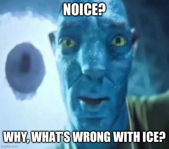 Avatar guy | NOICE? WHY, WHAT’S WRONG WITH ICE? | image tagged in avatar guy | made w/ Imgflip meme maker