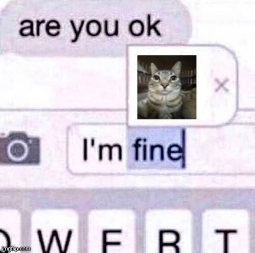 I’m fine meme | image tagged in i m fine meme | made w/ Imgflip meme maker