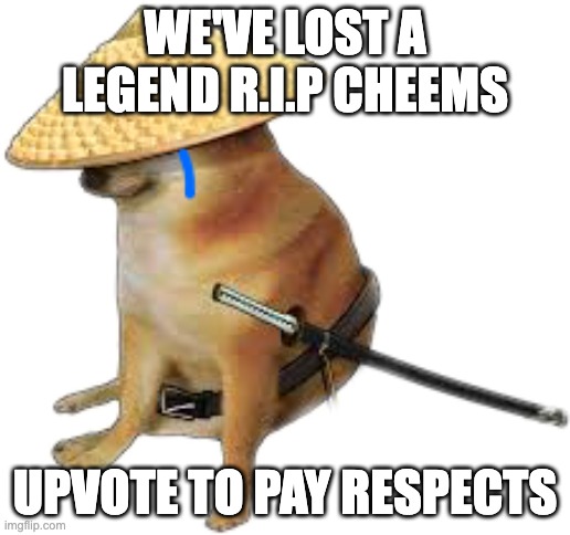 Silence wench | WE'VE LOST A LEGEND R.I.P CHEEMS; UPVOTE TO PAY RESPECTS | image tagged in silence wench | made w/ Imgflip meme maker