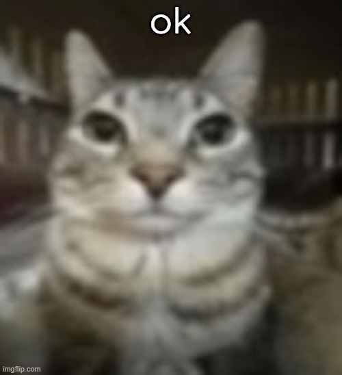 ok | made w/ Imgflip meme maker