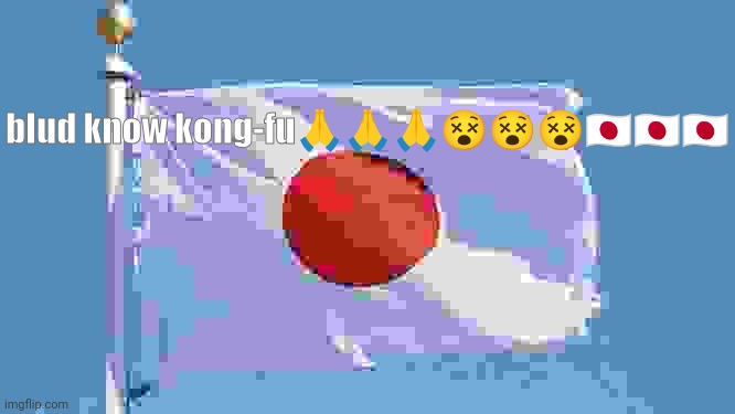 Japan flag | blud know kong-fu???????????? | image tagged in japan flag | made w/ Imgflip meme maker