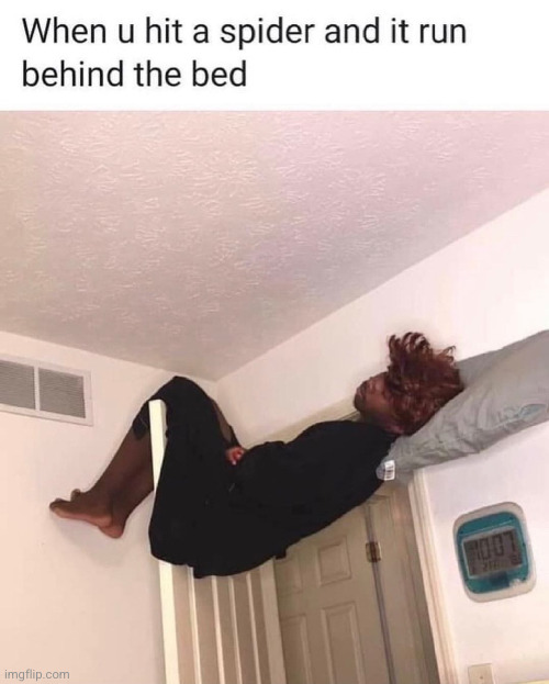 Meme #3,382 | image tagged in funny,memes,spider,spiders,relatable,sleep | made w/ Imgflip meme maker
