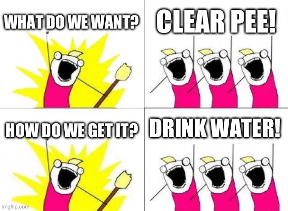 This was actually a speech at camp | WHAT DO WE WANT? CLEAR PEE! DRINK WATER! HOW DO WE GET IT? | image tagged in memes,what do we want | made w/ Imgflip meme maker
