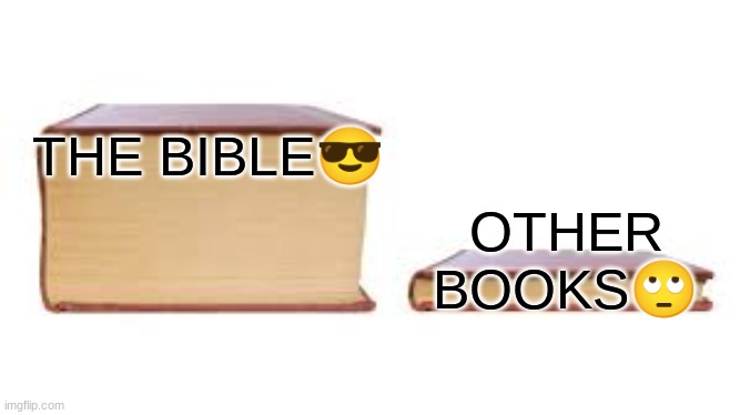 Gods word | THE BIBLE😎; OTHER BOOKS🙄 | image tagged in big book small book | made w/ Imgflip meme maker