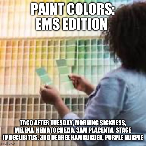 EMS paint colors | PAINT COLORS: EMS EDITION; TACO AFTER TUESDAY, MORNING SICKNESS, MELENA, HEMATOCHEZIA, 3AM PLACENTA, STAGE IV DECUBITUS, 3RD DEGREE HAMBURGER, PURPLE NURPLE | image tagged in ambulance,emergency,paint,colors,funny names | made w/ Imgflip meme maker