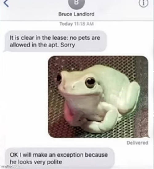 MSMG WHO WANTS SOME MORE FUNNY TEXTS DJEHSUSHWBSI | image tagged in funny texts,frog,hotel,polite,pets,funny | made w/ Imgflip meme maker
