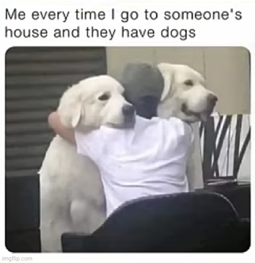 they are good boys | image tagged in dogs,hug,cute dog,woof,funny,true | made w/ Imgflip meme maker
