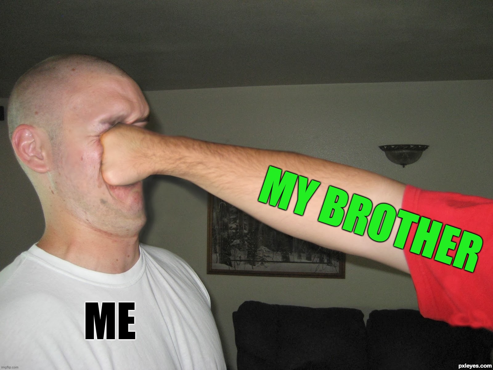 Face punch | MY BROTHER; ME | image tagged in face punch | made w/ Imgflip meme maker