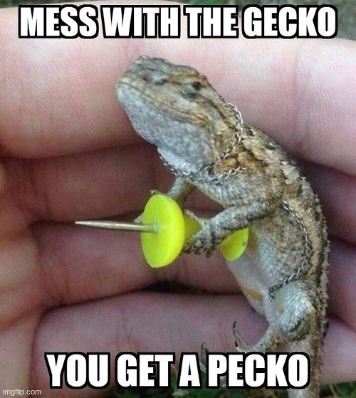 pecko | image tagged in gecko | made w/ Imgflip meme maker