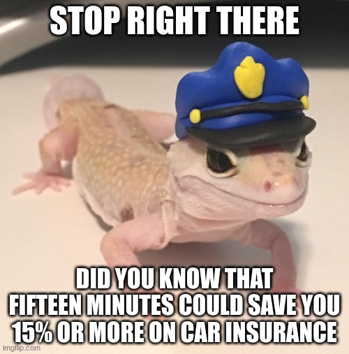 gecko | STOP RIGHT THERE; DID YOU KNOW THAT FIFTEEN MINUTES COULD SAVE YOU 15% OR MORE ON CAR INSURANCE | image tagged in officer geck,geico gecko,gecko | made w/ Imgflip meme maker